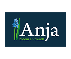 Anja bloem en trends
